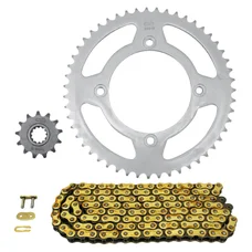 CHAIN AND SPROCKET KIT FOR BETA 50 RR ENDURO 2012>2017, RR ENDURO FACTORY 2012>2017, RR ENDURO STANDARD 2012>2014  420  13x51  (Ø SPROCKET 100/120/8.5/16)  -AFAM-