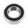 ROULEMENT BLACKBEARING B3 17x31-10mm (173110 2rs)