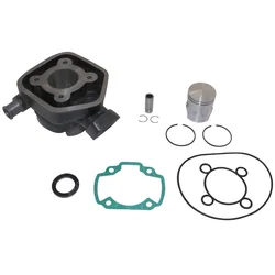 CYLINDER FOR SCOOT PEUGEOT 50 TKR, TREKKER, SPEEDFIGHT AIR, VIVACITY, BUXY, SQUAB, ZENITH, ELYSEO  -P2R CAST IRON + GRAPHITE PISTON-