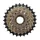 ROUE LIBRE  8V. P2R 13-28 BRONZE/NOIR