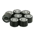 GALET/ROULEAU MAXISCOOTER MALOSSI 25x19  17,0g (x8)  POUR GILERA 800 GP/ APRILIA 850 SRV (6613655C0)