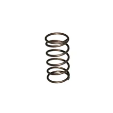 SPRING FOR SCREW PIVOT (ENGINE COVER) FOR MOPED PIAGGIO 50 CIAO PX (RO.122957)   -SELECTION P2R-