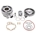 HAUT MOTEUR 50 A BOITE ADAPTABLE MINARELLI 50 AM6/MBK 50 X-POWER, X-LIMIT/YAMAHA 50 TZR, DTR/PEUGEOT 50 XPS/RIEJU 50 RS1/BETA 50 RR/APRILIA 50 RS 1995>2005  -P2R-