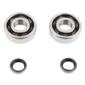 BEARING FOR CRANKSHAFT+SEALS FOR  MOPED P2R FOR  MBK 51, 41, 40, 88, CLUB ( KIT TPI 6302 QR POLYAMID)