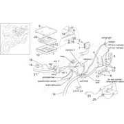 Circuit electrique arrière