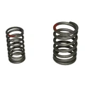 VALVE SPRING for 50CC - 4stroke : CHINESE GY6,139QMB/SYM 50 ORBIT /BAOTIAN 50 BT49QT /KYMCO 50 AGILITY /NORAUTO 50 RAZZO  (SOLD PER  2)  -P2R-