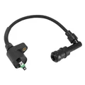 CM271702 - BOBINE A.T.