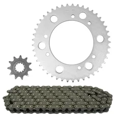 CHAIN AND SPROCKET KIT FOR MALAGUTI 50 XSM 2003>2006  420  45x11  (OEM SPECIFICATIONS)  -TOP PERFORMANCES-