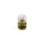 CARB FLOAT NEEDLE VALVE "PIAGGIO GENUINE PART" 125 HEXAGON 2 stroke  -CM102202-