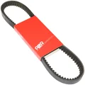 COURROIE SCOOT ADAPTABLE HONDA 50 X8R-S, X8R-X, SH 1996>/PEUGEOT 50 LOOXOR (830 x 18 x 8) -P2R