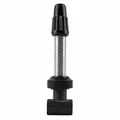 VALVE DE PNEU TUBELESS PRESTA DT SWISS VTT 32 mm ALU ARGENT OBUS DEMONTABLE (VENDU A L'UNITE)