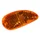 CLIGNOTANT SCOOT ADAPTABLE PIAGGIO 50 TYPHOON 1993>2003, NRG 1994>1998, NTT 1995>1999 ORANGE AR DROIT (HOMOLOGUE CE)  -SELECTION P2R-