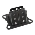 REED VALVE  FIBER FOR MINARELLI 50 AM6/DERBI 50 SENDA, GPR/MBK 50 X-POWER/YAMAHA 50 TZR/PEUGEOT 50 XPS/RIEJU 50 RS1, SMX/GILERA 50 SMT, RCR/APRILIA 50 RS ( RESIN MOUNT) P2R