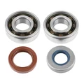 ROULEMENT D'EMBIELLAGE + JOINT 50 A BOITE ARTEK K1 SKF ADAPTABLE MINARELLI 50 AM6/MBK 50 X-POWER/YAMAHA 50 TZR/BETA 50 RR (KIT 6204 SKF POLYAMIDE C4 SOIE DIAM 20 + JOINT SPI NBR/VITON)