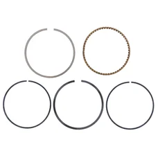 SEGMENT MAXISCOOTER ADAPTABLE SYM 125 FIDDLE 2, JET 4, SYMPHONY, ORBIT 2,3 / PEUGEOT 125 TWEET, 125 DJANGO, SPEEDFIGHT 3 (DIAM 52,4 mm) (JEU)  -MAGNETI MARELLI-