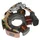 IGNITION STATOR FOR SCOOT PIAGGIO 50 ZIP 2STROKE, TYPHOON, NRG, LIBERTY 2STROKE, FLY 2STROKE , VESPA LX 2STROKE/APRILIA 50 SR, SCARABEO/GILERA 50 STALKER, RUNNER (6 POLES)  -SELECTION P2R-