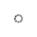 AP8150284 - RONDELLE EVENT.EXT.