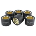 GALET/ROULEAU MAXISCOOTER MAGNETI MARELLI 23x18  17,0g  (x6)  POUR HONDA 250 FORZA, 300 SH/KYMCO 250 GRAND DINK, 250 KXR/QUADRO D-S/YAMAHA 300 XMAX