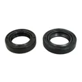 OIL SEAL FOR CRANKSHAFT FOR SCOOT PIAGGIO 50 ZIP 2T, TYPHOON, NRG, LIBERTY 2STROKE, VESPA LX 2STROKE/GILERA 50 STALKER, ICE, RUNNER, DNA (NITRILE) (PAIR)  -SELECTION P2R -