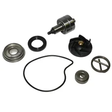 KIT REPARATION POMPE A EAU MAXISCOOTER ADAPTABLE PIAGGIO 250 BEVERLY 2006>, 250 X8, 250 X9 EVOLUTION, 300 MP3 2010>, 300 VESPA GTS 2008>/GILERA 250-300 NEXUS (KIT)  -SELECTION P2R-