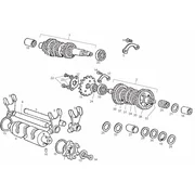 Mandrin roul. arb.prim.D-sec.G