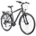 VELO MUSCULAIRE CITY BIKE 28 LEADER FOX FERRARA HOMME GRIS 8V (19'' - H48cm - TAILLE L - POUR ADULTE DE 175cm à 183cm)