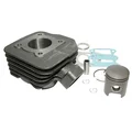 CYLINDER FOR SCOOT PIAGGIO 50 NRG 2000>/GILERA 50 RUNNER 2000>, DNA/APRILIA 50 SR L.C./DERBI 50 GP1 2000>  -P2R CAST IRON PREMIUM-