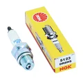 SPARK PLUG NGK DR8HS (5123).