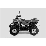 Quasar 100 2003