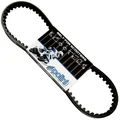 COURROIE SCOOT POLINI ORIGINAL POUR MBK 50 BOOSTER, NITRO, STUNT/YAMAHA 50 BWS, AEROX, SLIDER  (747 x 16,5 x 9 mm x 30°)  (248.003.F)