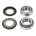 JEU DE DIRECTION 50 A BOITE ADAPTABLE RIEJU 50 MRT 2009>, 125 MARATHON 2009> (QUALITE OEM) (KIT COMPLET)  -SELECTION P2R-