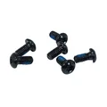 VIS DE FIXATION DISQUE DE FREIN FIBRAX NOIR COMPATIBLE SHIMANO/SRAM (SUR CARTE PAR 6 PIECES)
