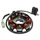 IGNITION STATOR FOR SCOOT KYMCO 50 BET WIN, SUPER 9, TOP BOY, VITALITY DINK, PEOPLE (8 POLES)  -SELECTION P2R-