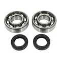 BEARING FOR CRANKSHAFT+SEALS FOR SCOOT P2R FOR  PEUGEOT 50 LUDIX, SPEEDFIGHT 3, JET FORCE (KIT 6204 FAG STEEL C3 + NITRILE SEALS)