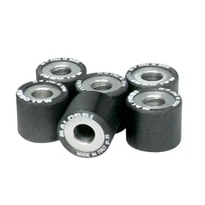 GALET/ROULEAU MAXISCOOTER MALOSSI 25x22,2  20,0g (x6)  POUR PIAGGIO 500 X9 EVOLUTION POUR VARIATEUR MULTIVAR (6613968A0)