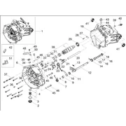 Boîte de vitesses / Selecteur / Desmodromique