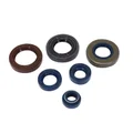 JOINT SPI MOTEUR 50 A BOITE ADAPTABLE MINARELLI 50 AM6/BETA 50 RR/YAMAHA 50 TZR/MBK  X-POWER (PRO-SERIES) (KIT COMPLET)  -ARTEIN-