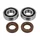 BEARING FOR CRANKSHAFT+SEALS FOR 50CC MOTORBIKE ARTEK FOR DERBI 50 SENDA, GPR/GILERA 50 SMT, RCR ( EURO 2 + EURO 3 ENGINE)  (BEARING KIT 6204 TPI POLYAMID C4 +  VITON SEALS)