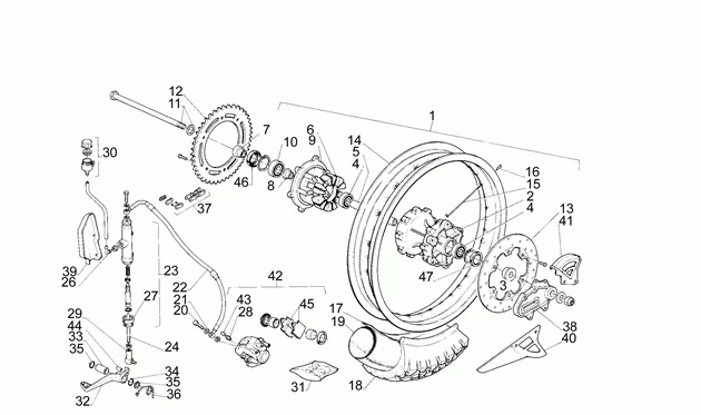 Roue arrière