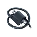 IGNITION COIL FOR RIEJU 50 MRT, RS2, RS3/SHERCO 50 SE, SM-R, SE-R/GENRERIC 50 TRIGGER SM/MBK 50 BOOSTER, NITRO, STUNT, X-LIMIT/YAMAHA 50 AEROX, BWS, SLIDER, DT R  -P2R-