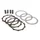 DISQUE D'EMBRAYAGE 50 A BOITE POLINI ORIGINAL POUR MINARELLI 50 AM6 / YAMAHA 50 TZR, DTR / PEUGEOT 50 XPS, XR6 / RIEJU 50 MRT / BETA 50 RR / APRILIA 50 RS / SHERCO 50 SM-R (KIT COMPLET)  (230.0025)