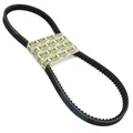 COURROIE CYCLO ADAPTABLE MBK/MOTOBECANE 50 CADY (762 x 13,5)  -SELECTION P2R-