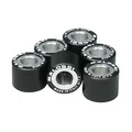 GALET/ROULEAU MAXISCOOTER MALOSSI 19x17 12,0g (x6)  POUR PIAGGIO 125 BEVERLY, FLY, LIBERTY, MP3, YOURBAN VESPA LX ET GTS, X10, x9, X8, X7, X-EVO (669456SL)