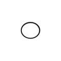 AP9150357 - O-RING 21.9X1.78 FPM (