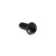 00008061500 - VIS A TETE RONDE 6M100X16