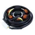 IGNITION STATOR FOR ENGINE - PEUGEOT 50-100 2 stroke  (6 poles 90W - 3 Wires)  (R.O 729957)  -SELECTION P2R-