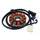 IGNITION STATOR FOR ENGINE - PIAGGIO LEADER 125 4 stroke- INJECTION AIR COOLED  (12 poles -150W - TRIPHASE)  -SELECTION P2R-