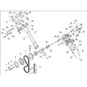 Distribution