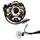 IGNITION STATOR FOR SCOOT 50cc CHINESE 4STROKE GY6,139QMB/PEUGEOT 50 KISBEE, V-CLIC 4STROKE/KYMCO 50 AGILITY 4STROKE/SYM 50 ORBIT 4STROKE/BAOTIAN 50 BT49QT 4STROKE (8 POLES - VERSION 2 - 5 WIRES)  -P2R-