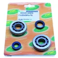 BEARING FOR CRANKSHAFT+SEALS FOR SCOOT TOP PERF FOR  PEUGEOT 50 TKR, TREKKER, SPEEDFIGHT, VIVACITY, BUXY, SQUAB, ZENITH, ELYSEO (KIT SC04A47CS)